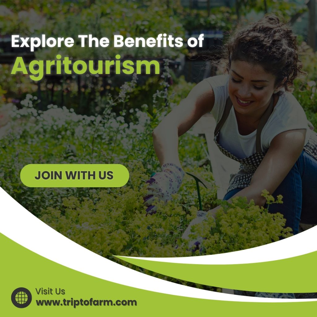 Explore the benefits of Agritourism