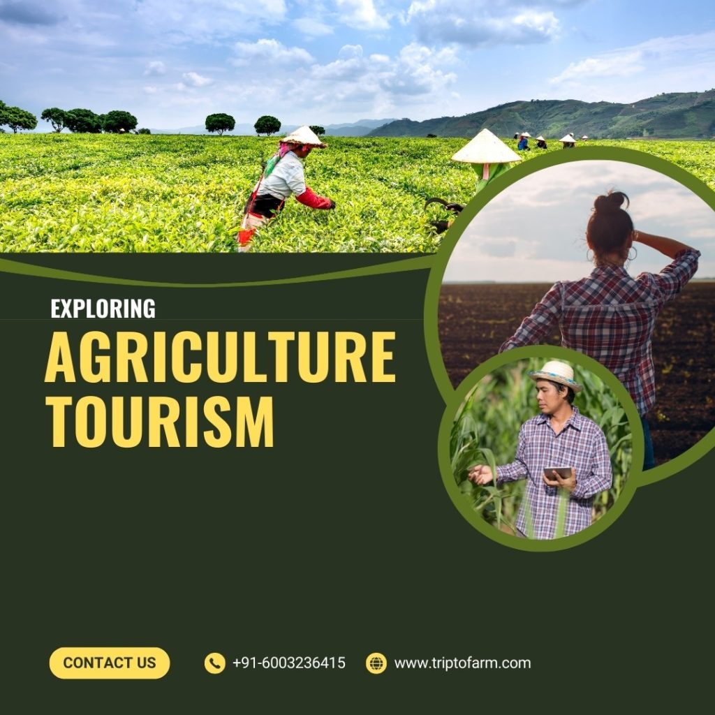 Exploring Agriculture Tourism